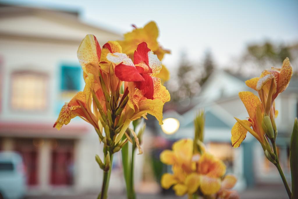 The Georgian Residence Luxury Boutique Suites 5*